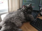 Toupie le maître programmeur